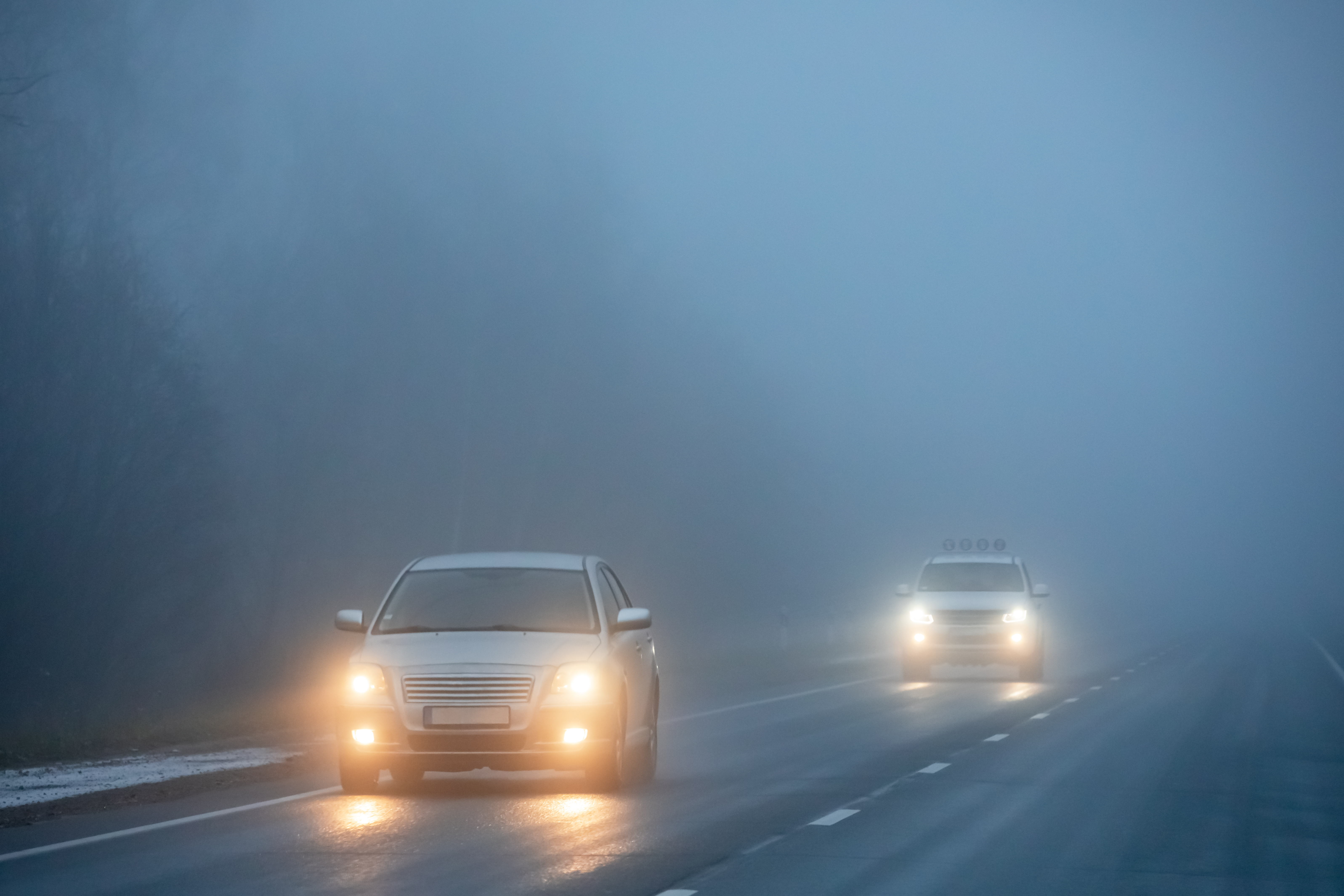 Tips on How to Confidently Drive Through Fog