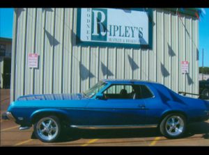 Cougar | Ripley’s Total Car Care