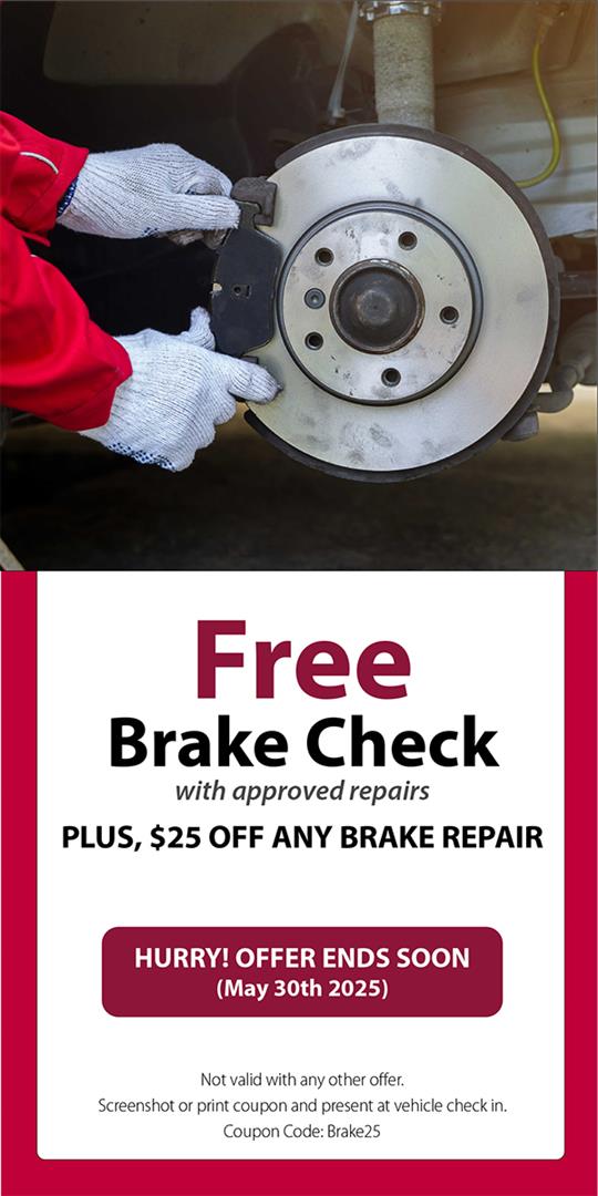Special offer | Ripley's Total Car Care